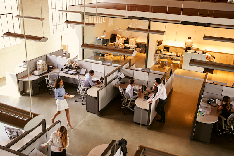 How Real-Time Occupancy Data Helps Build a Smarter Workplace