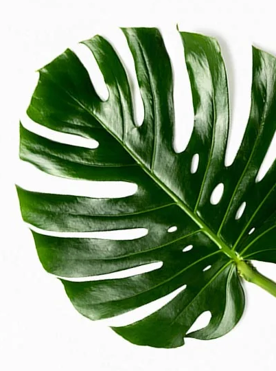 A better way to work with sustainability